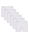Beeren Jongens boxershort Young 6Pack Wit
